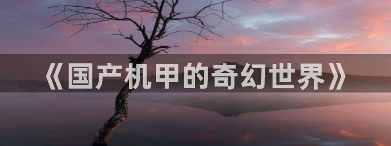 死神动漫在线风车动漫：《国产机甲的奇幻世界》
