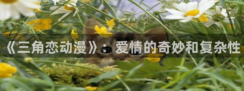 风车动漫530：《三角恋动漫》：爱情的奇妙和复杂性