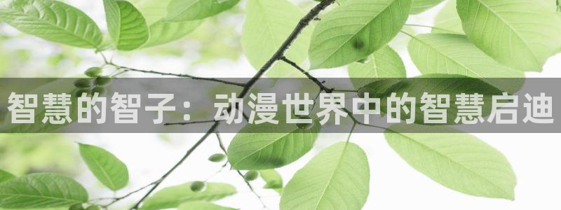 绯弹的亚里亚第二季风车动漫：智慧的智子：动漫世界中的智慧启迪